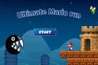 Ultimate Mario Koşusu 2