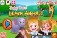 Baby Hazel: She has fun learning about animals