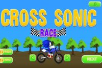 Sonic race