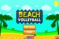 Beach Volleyball Funny