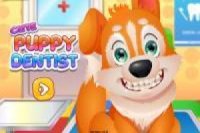 Pet goes to the crazy dentist