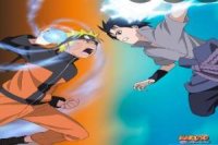 Naruto Shippuden: Naruto vs. Sasuke Game