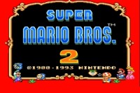 Super Mario Bros II (USA)