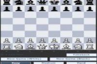 Drtič šachy
