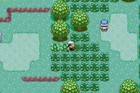 Pokemon: Inclement Emerald