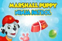 Paw Patrol Puppy Ninja Slice Fruit