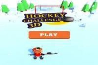 3D hokejová výzva