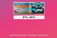 Hexa Blast Game Puzzle