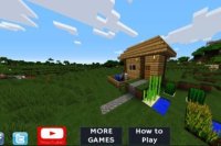 Minecraft World 3D Online