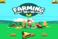 10x10 Farm