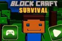 BlockCraft de Minecraft