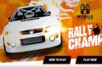 Champion de rallye