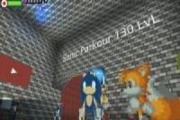 Sonic parkour