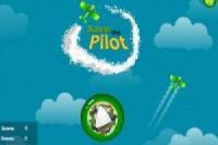 Save the Pilot