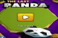 O último Panda