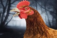 Scary Chicken Escape Online
