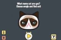 What cat meme are you?