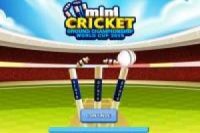 Ulusal Kriket Kupası