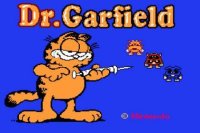 加菲猫博士