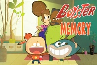 Boyster: Memory Cards