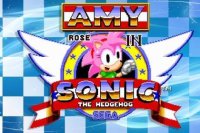 Amy Rose in the world of Sonic the Hedgehog
