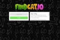 Find Cat IO