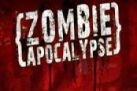 Zombie Apocalypse: Multiplayer Online