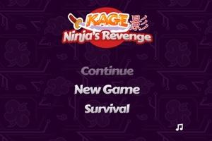 The Ninja Revenge