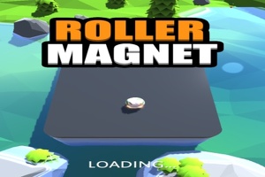 3D Magnetrolle