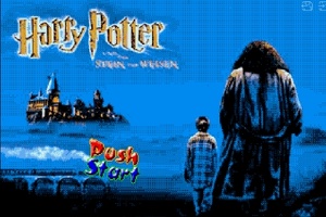 Harry Potter (R)