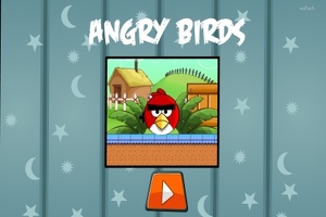 Angry Birds : Punisher