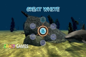 Bílý žralok