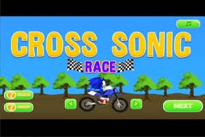 Sonic race