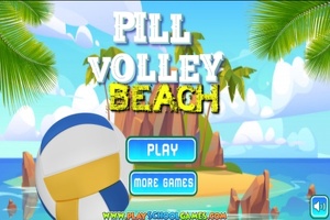 Beachvolleyball Pro