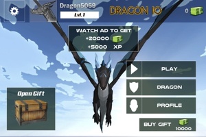 Dragon IO