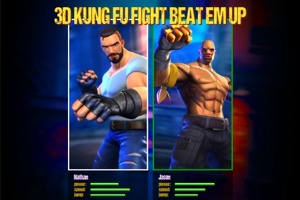 3D boj Kung Fu