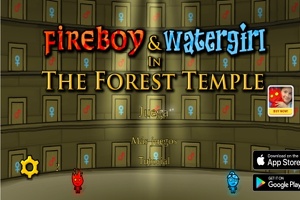 Огонь и Вода в лесном храме