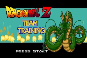 Dragon Ball Z Team Training V8 Nuovo
