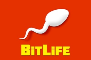 BitLife - Simulátor života