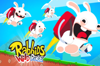 Rabbids Wild Race Game