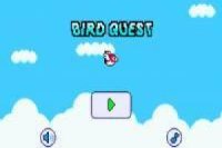Bird quest: adventure flappy bros