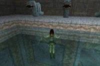 Lara Croft Tomb Raider 3D