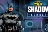 Batman and Batgirl: Shadow Combat