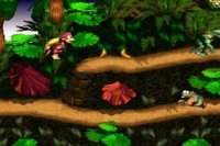 Donkey Kong Country with Dixie Hackrom