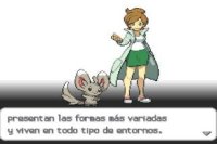 Pokémon Edición Blanca NDS