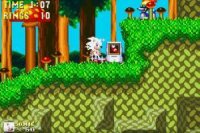 White Sonic in Sonic Knuckles Game