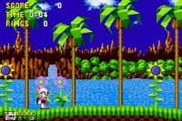 Sonic the Hedgehog 1 con Rouge the Bat