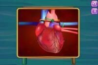 Hospitales: Trasplante de Corazón