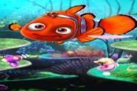 Cuidemos con amor a Nemo
