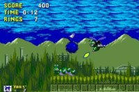 Hunter Tails Miles in Sonic 1